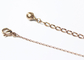 Summer Stainless Steel Ankle Bracelet , Rose Gold Plated Stainless Steel Anklet supplier