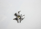 Fancy Pins Rhinestone Starfish Brooch Jewelry Accessories For Anniversary supplier