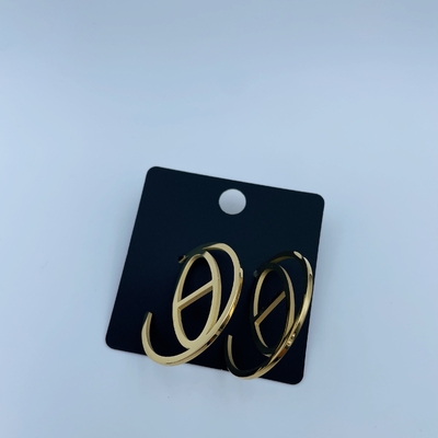 Polished Gold Finish Stainless Steel Earring with CZ Stone and Gold