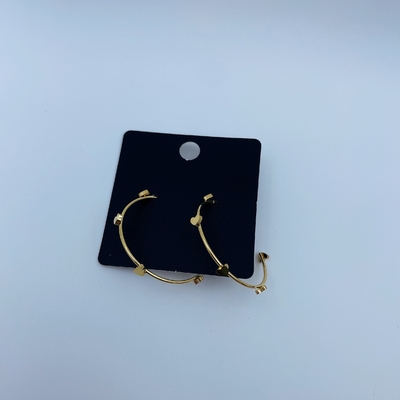 Polished Gold Finish Stainless Steel Earring with CZ Stone and Gold